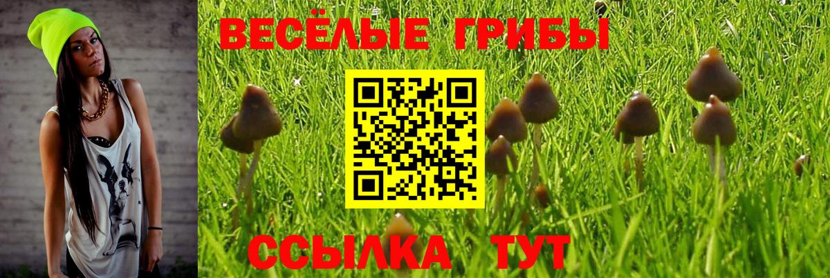 Псилоцибиновые грибы мицелий  Псилоцибиновые грибы мухоморы  Нягань  Вход с VPN 